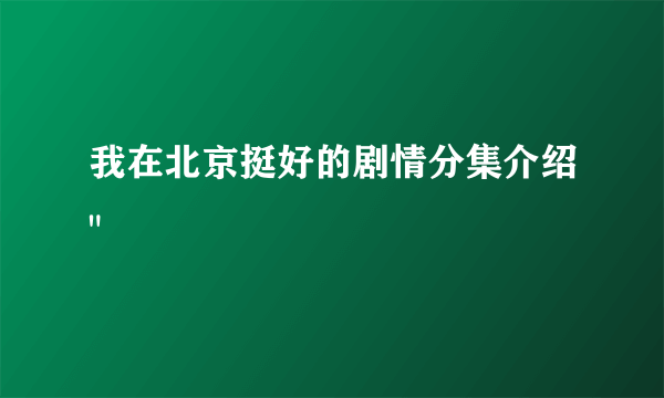 我在北京挺好的剧情分集介绍