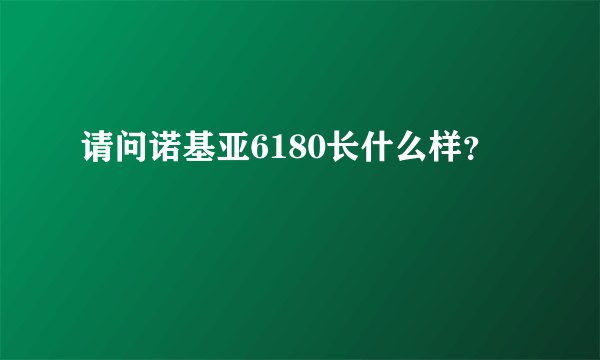 请问诺基亚6180长什么样？