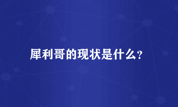 犀利哥的现状是什么？