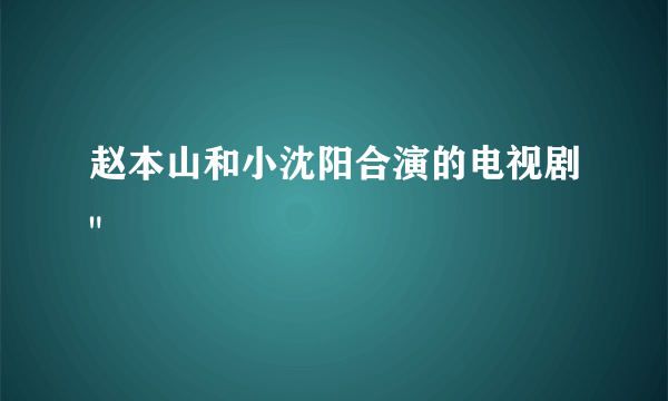 赵本山和小沈阳合演的电视剧