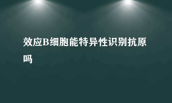 效应B细胞能特异性识别抗原吗