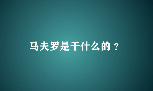 马夫罗是干什么的 ？