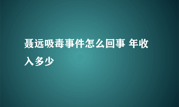 聂远吸毒事件怎么回事 年收入多少