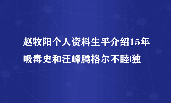 赵牧阳个人资料生平介绍15年吸毒史和汪峰腾格尔不睦|独