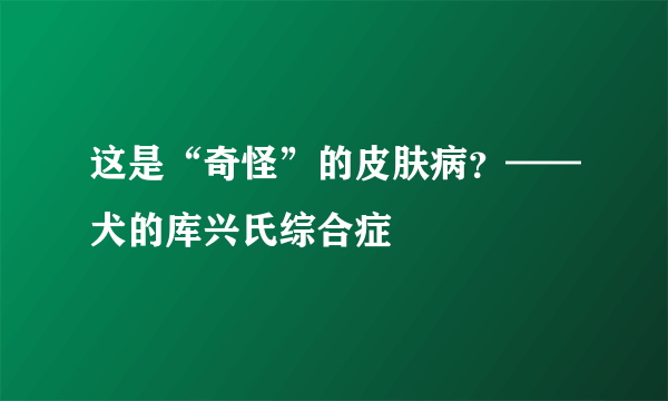 这是“奇怪”的皮肤病？——犬的库兴氏综合症