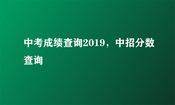 中考成绩查询2019，中招分数查询