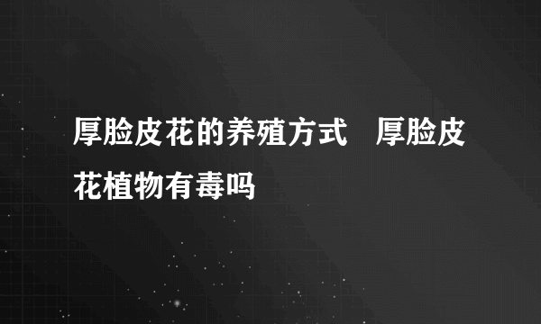 厚脸皮花的养殖方式   厚脸皮花植物有毒吗