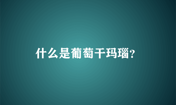 什么是葡萄干玛瑙？