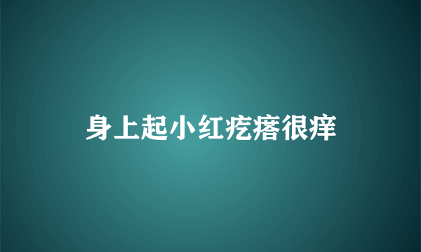 身上起小红疙瘩很痒