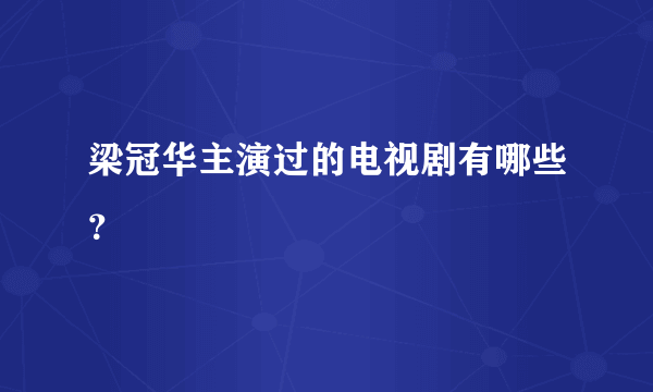 梁冠华主演过的电视剧有哪些？