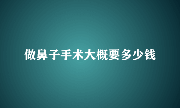 做鼻子手术大概要多少钱