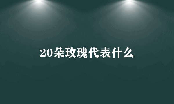 20朵玫瑰代表什么