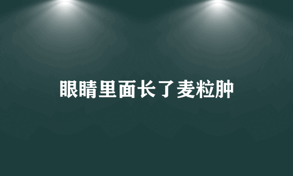 眼睛里面长了麦粒肿