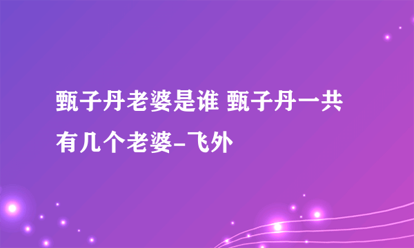 甄子丹老婆是谁 甄子丹一共有几个老婆-飞外