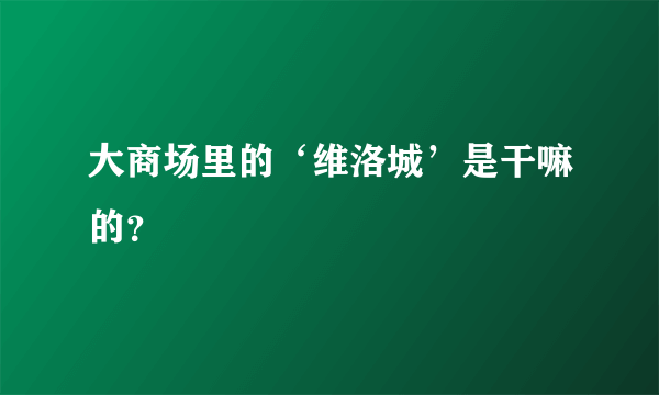 大商场里的‘维洛城’是干嘛的？