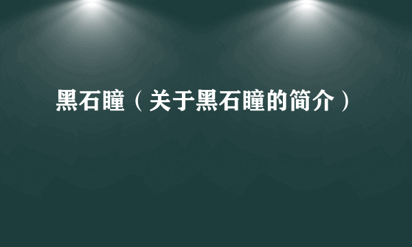 黑石瞳（关于黑石瞳的简介）