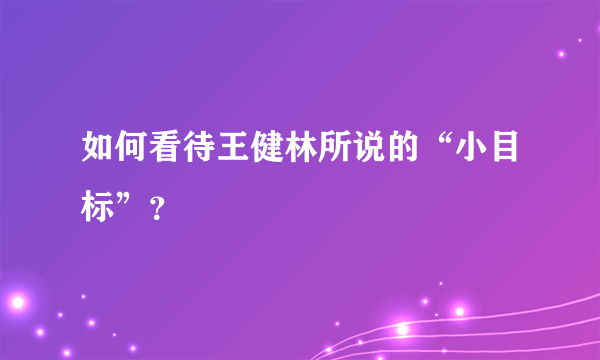 如何看待王健林所说的“小目标”？