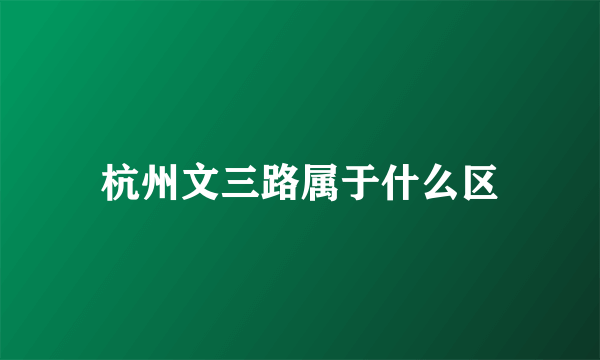 杭州文三路属于什么区