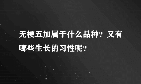 无梗五加属于什么品种？又有哪些生长的习性呢？