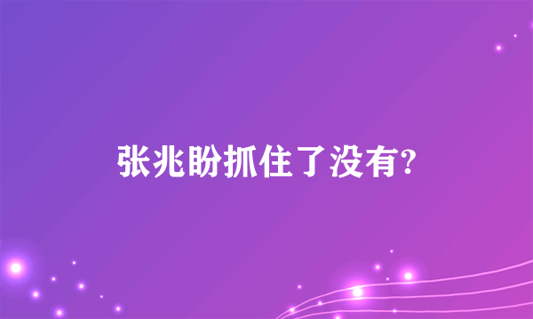 张兆盼抓住了没有?