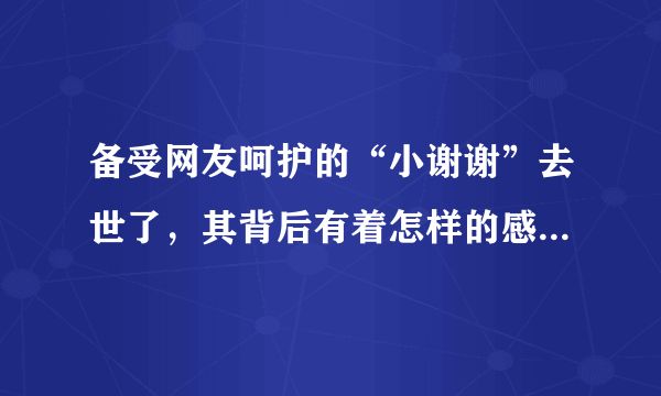 备受网友呵护的“小谢谢”去世了，其背后有着怎样的感人故事？