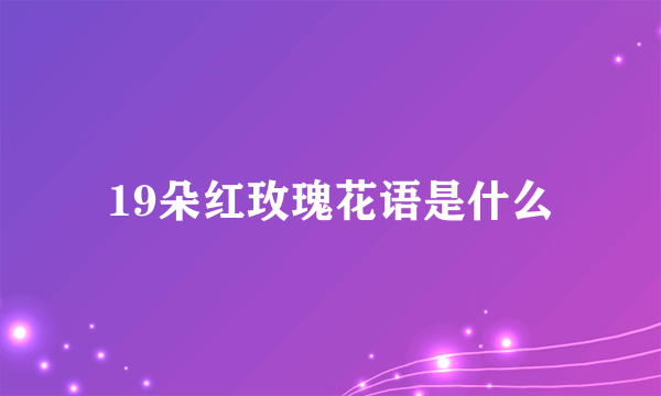 19朵红玫瑰花语是什么