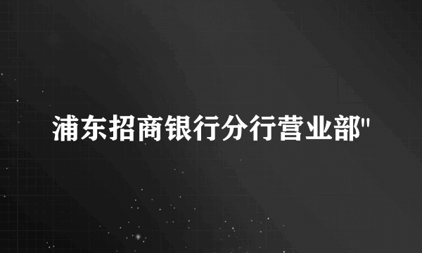 浦东招商银行分行营业部