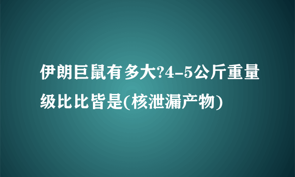 伊朗巨鼠有多大?4-5公斤重量级比比皆是(核泄漏产物)