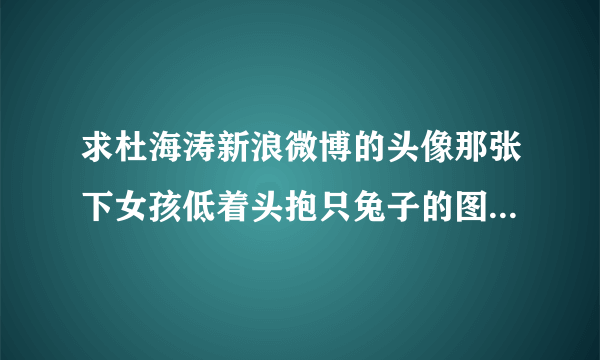 求杜海涛新浪微博的头像那张下女孩低着头抱只兔子的图片，邮箱280055698@qq.com.谢谢急求