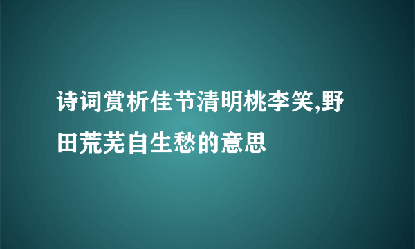 诗词赏析佳节清明桃李笑,野田荒芜自生愁的意思