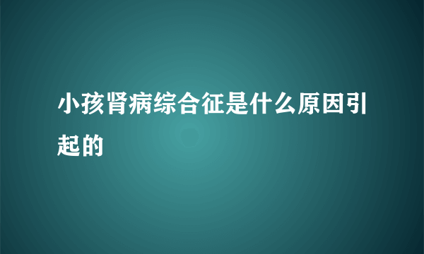 小孩肾病综合征是什么原因引起的