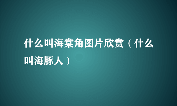 什么叫海棠角图片欣赏（什么叫海豚人）