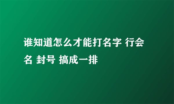 谁知道怎么才能打名字 行会名 封号 搞成一排