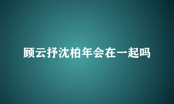 顾云抒沈柏年会在一起吗