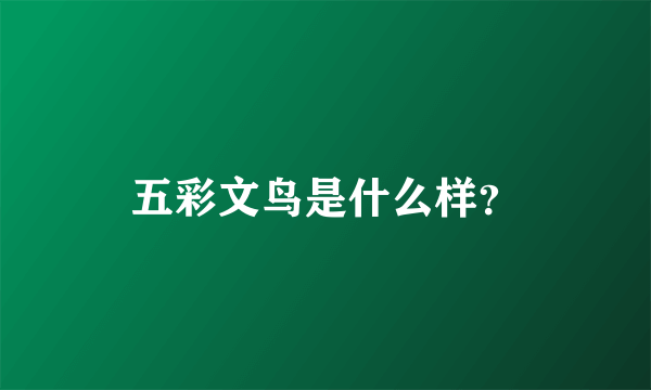 五彩文鸟是什么样？