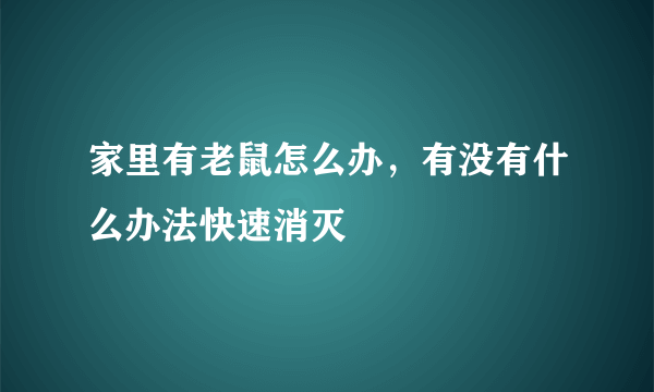 家里有老鼠怎么办，有没有什么办法快速消灭