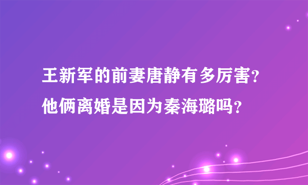 王新军的前妻唐静有多厉害？他俩离婚是因为秦海璐吗？