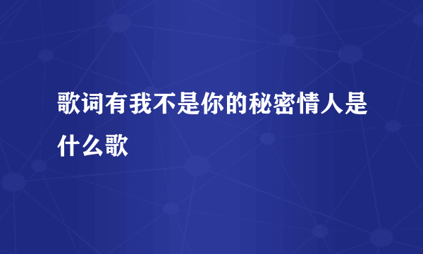 歌词有我不是你的秘密情人是什么歌