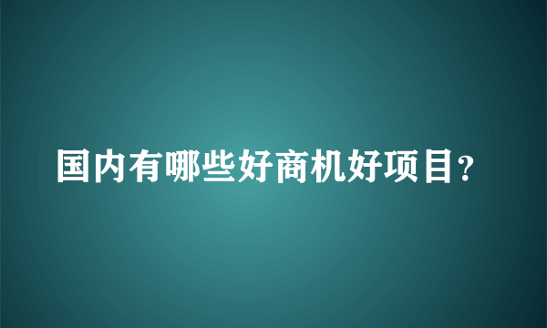 国内有哪些好商机好项目？