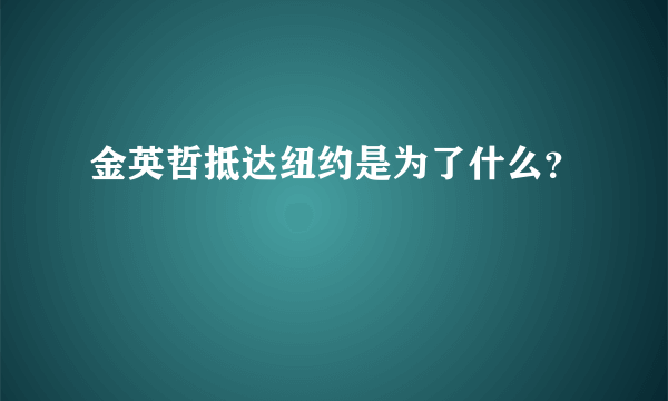 金英哲抵达纽约是为了什么？