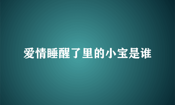 爱情睡醒了里的小宝是谁