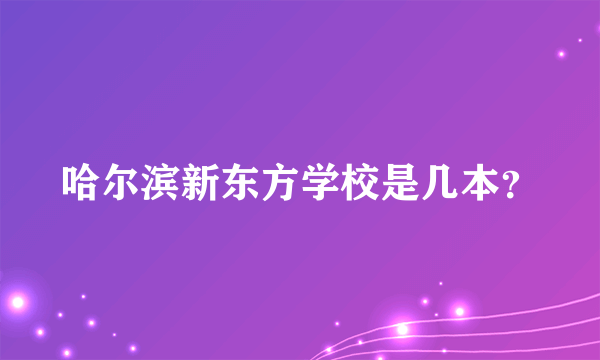 哈尔滨新东方学校是几本？