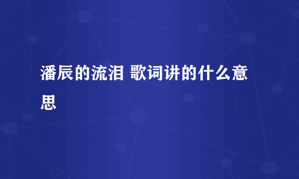 潘辰的流泪 歌词讲的什么意思