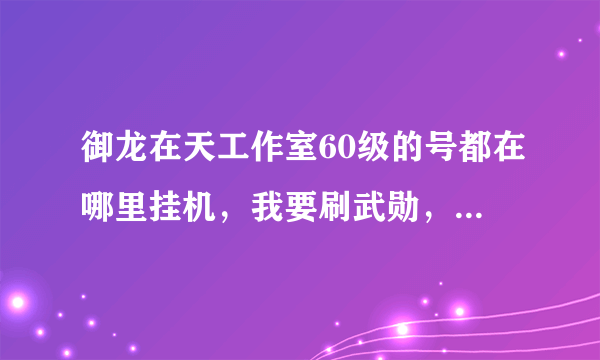 御龙在天工作室60级的号都在哪里挂机，我要刷武勋，护国市和狗娃不好耍，人太少了