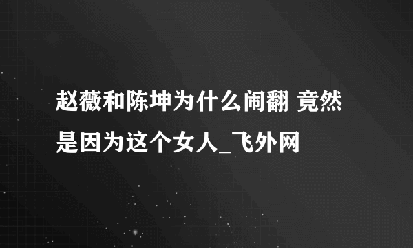 赵薇和陈坤为什么闹翻 竟然是因为这个女人_飞外网