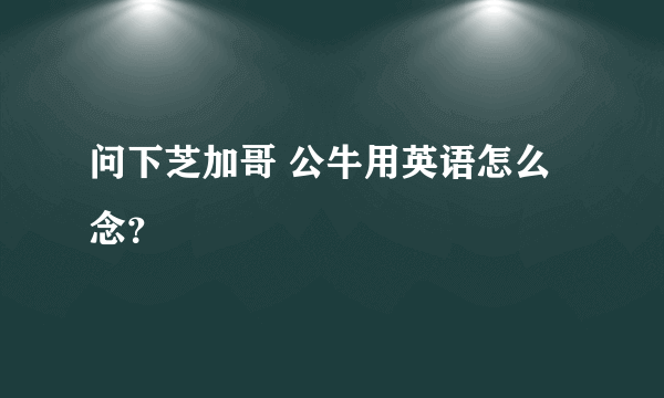 问下芝加哥 公牛用英语怎么念？