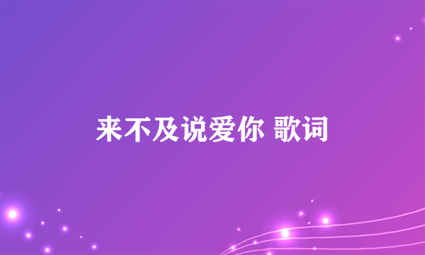 来不及说爱你 歌词