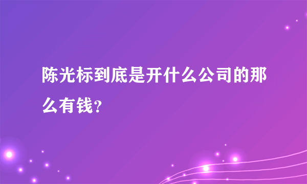 陈光标到底是开什么公司的那么有钱？