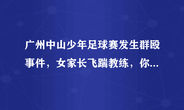 广州中山少年足球赛发生群殴事件，女家长飞踹教练，你怎么看？