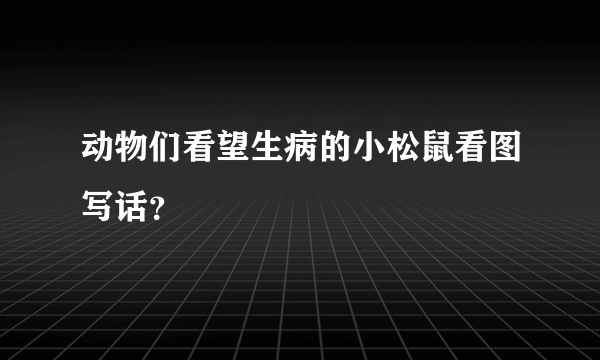 动物们看望生病的小松鼠看图写话？